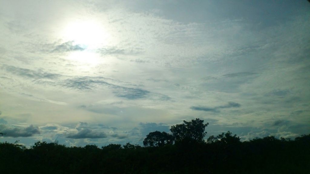 Arriv&eacute;e &agrave; ferk&eacute;